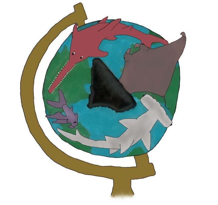 THE FINS UNITED INITIATIVE