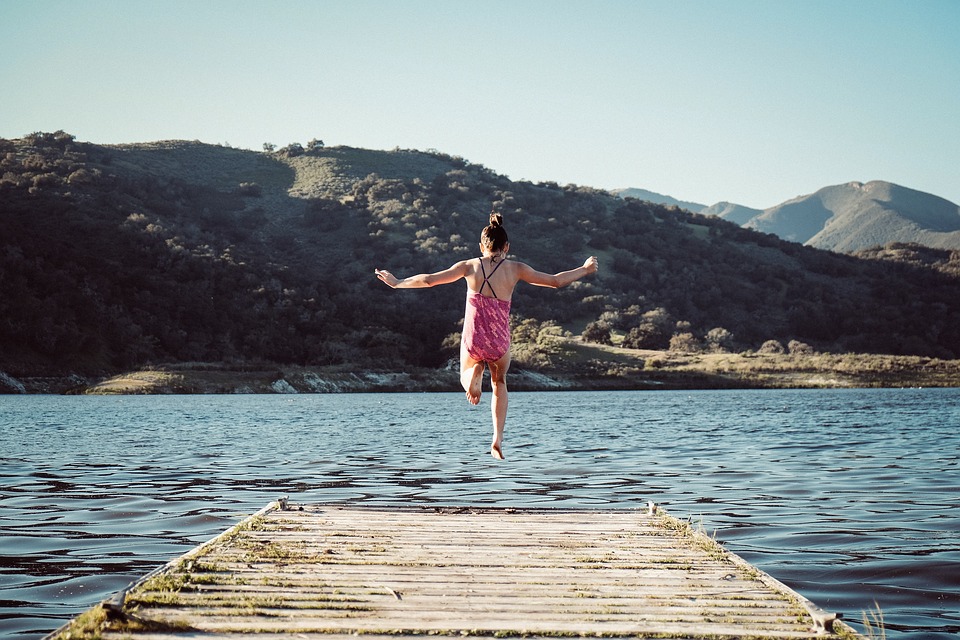 What flies, dives and swims?