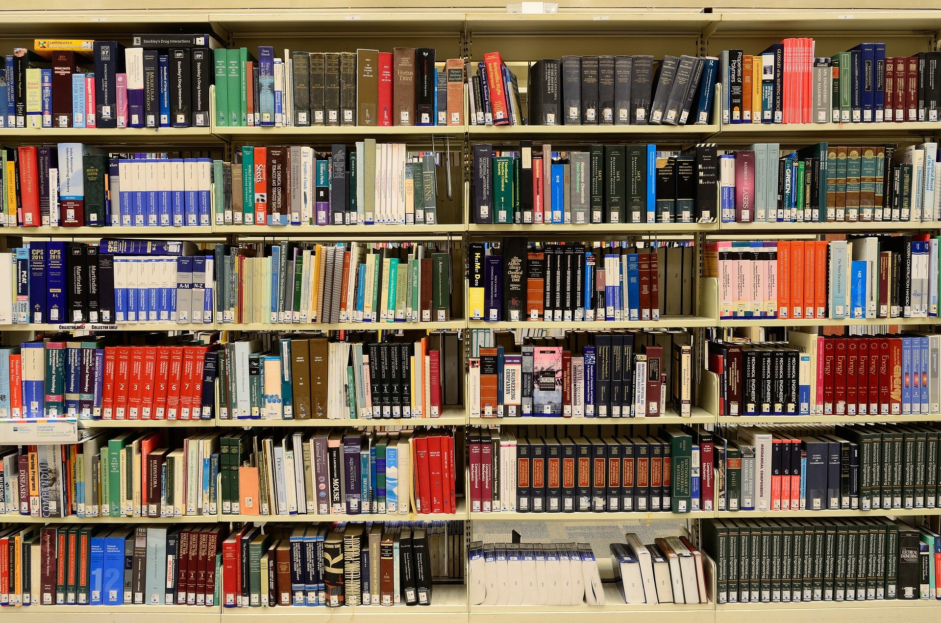 Library Sections-Scavenger Hunt