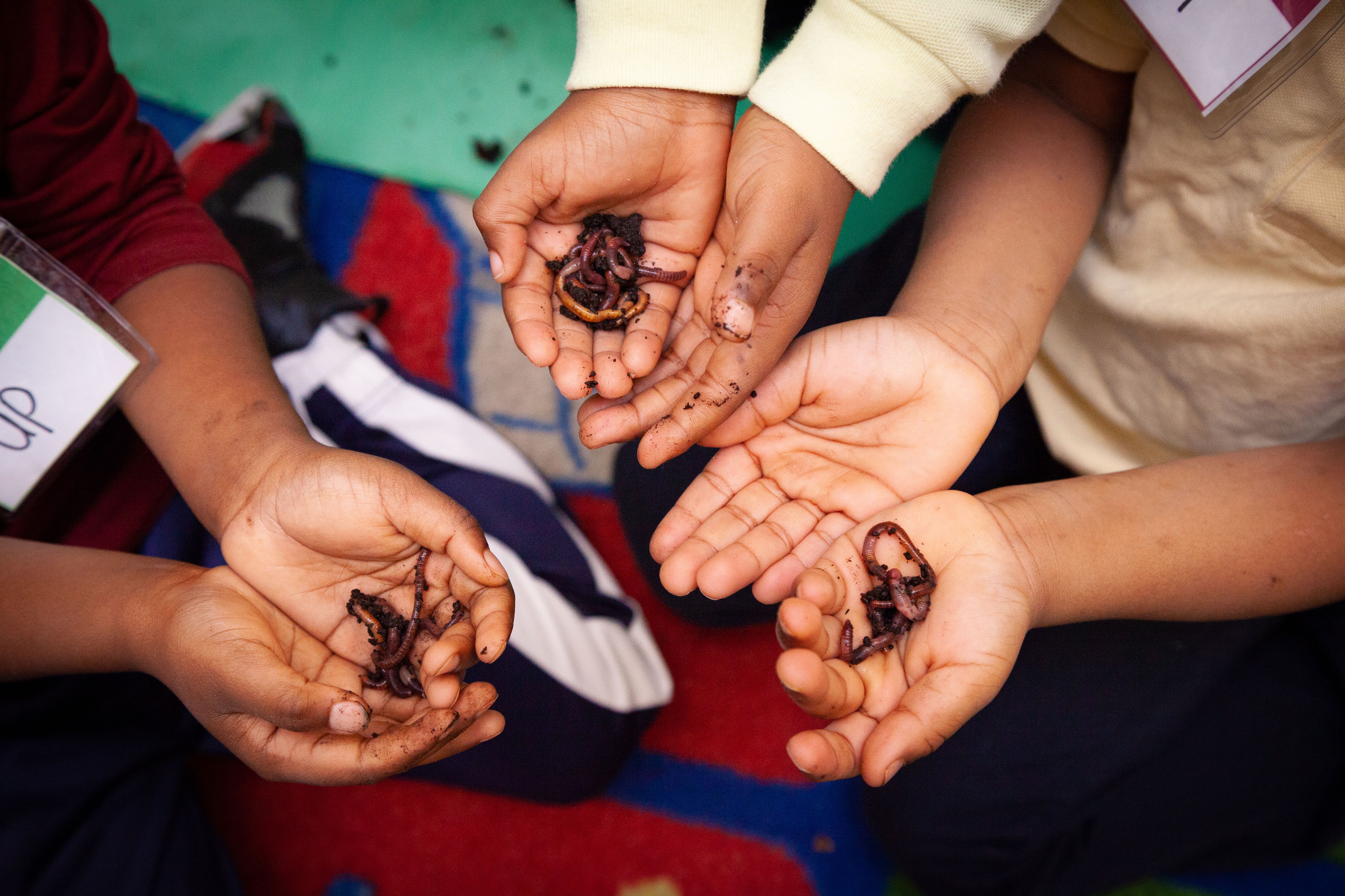 Worms in the Garden