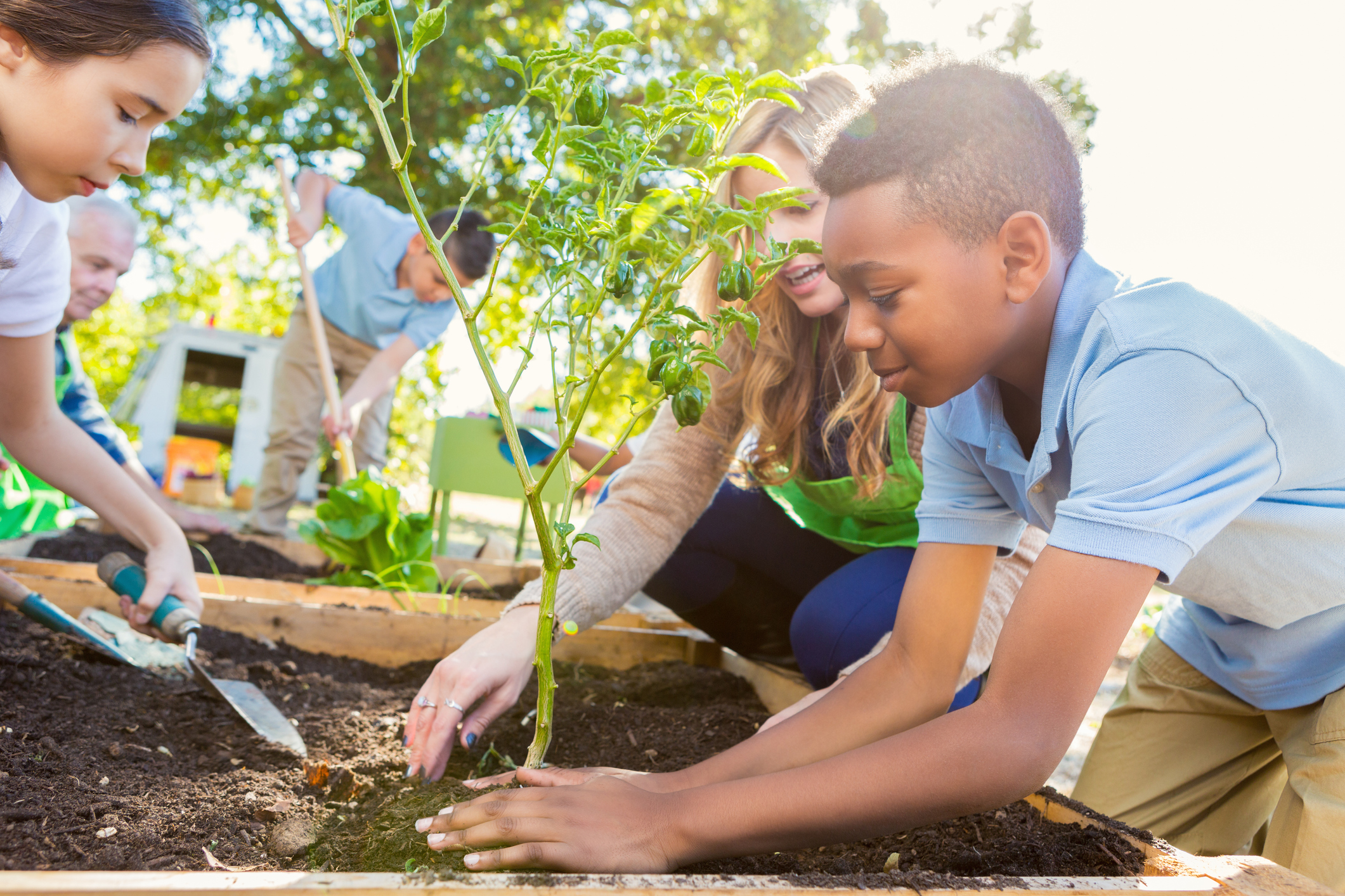 Growth Mindset and Project-Based Learning Lesson Plans