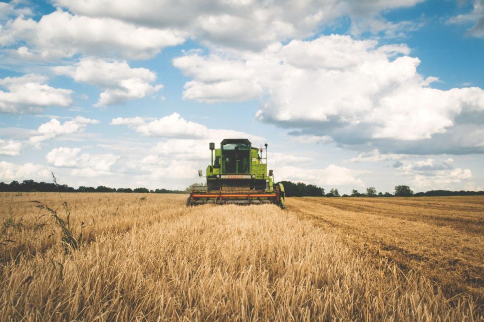 Farm Bill and U.S. Food Policy Lesson Plan 