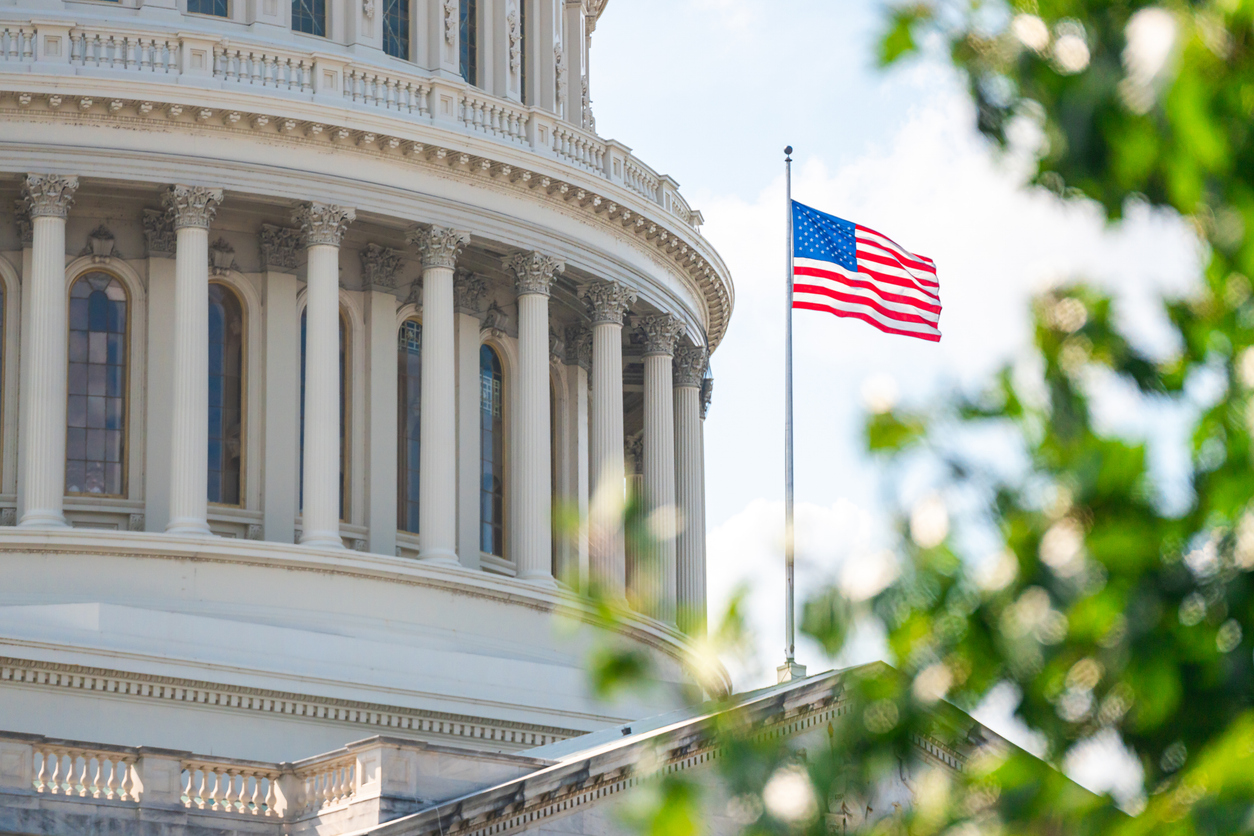 Voting in the United States Senate Worksheet