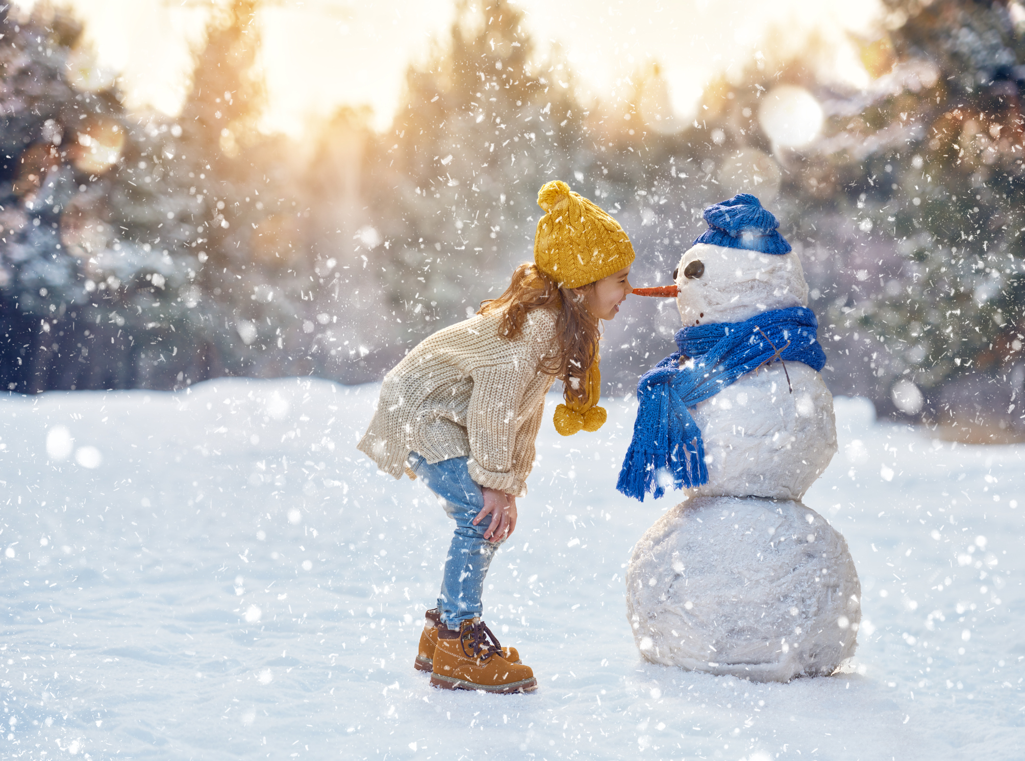 Winter Holidays Lesson Plans and Resources