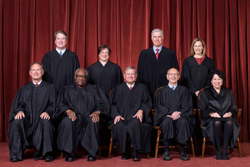 What is the Judicial Branch's Role in the Legislative Process? Video & Worksheet 