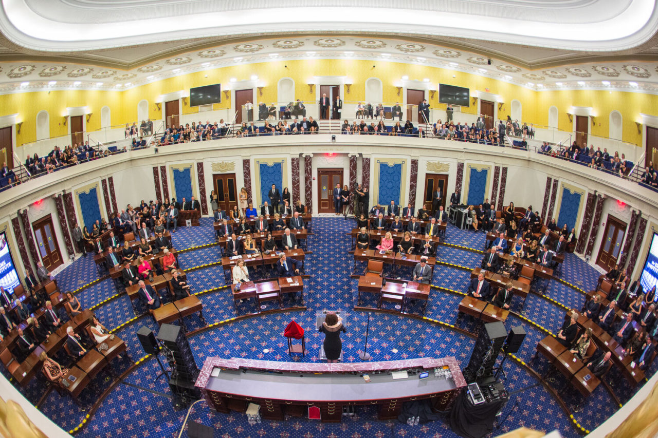 What is the Senate's Role in the Legislative Process? Video & Worksheet