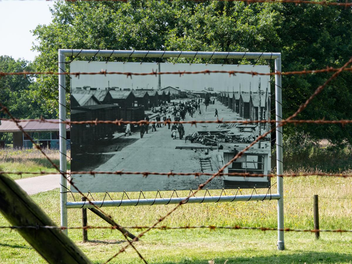 Learning history through the holocaust timeline