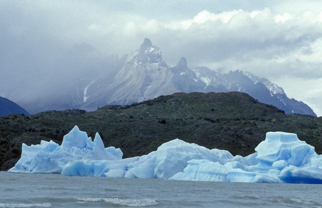 Moral Leadership and the Environment