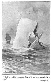 THE WHALE STORY