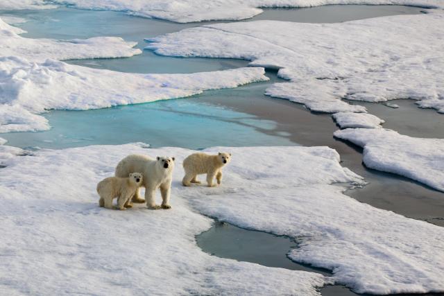 Global Climate Change - Legends of Learning