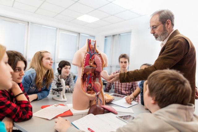 Reproductive System