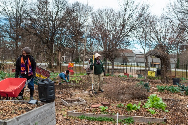 Community - Gardens Activity Guide