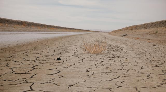 Living With Less Water | Global Oneness Project