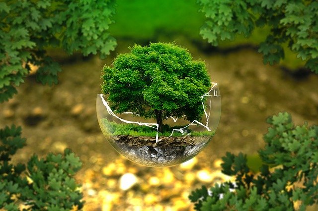 What Is Earth Day? (Activities)
