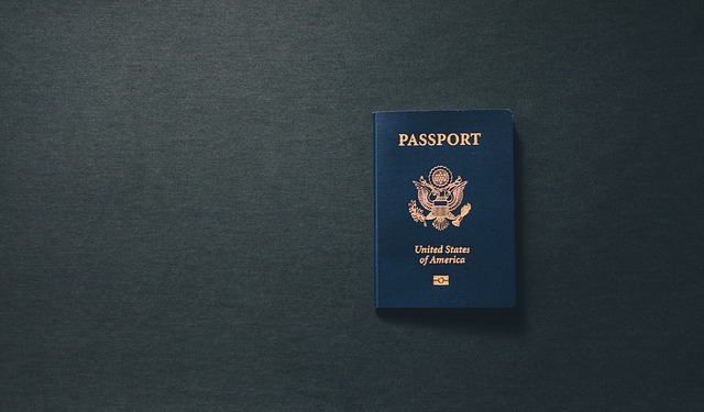 Immigration & Citizenship Lesson