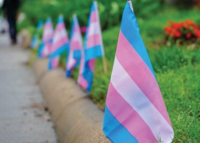 Why are States Trying to Ban Transgender Student Athletes?